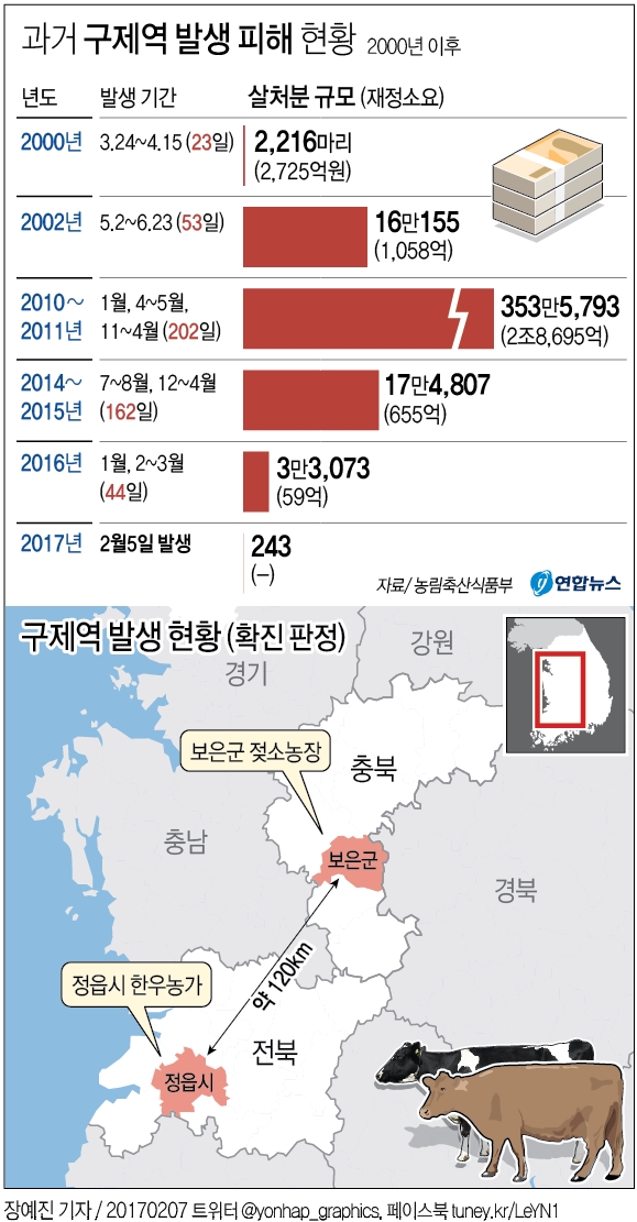 보은 젖소 이어 정읍 한우도 구제역 확진…유입경로 '오리무중'(종합) - 1