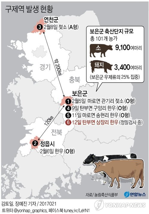 구제역, 충북 보은서 전국 6번째 발생…당국 통제 범위 벗어나나 - 2
