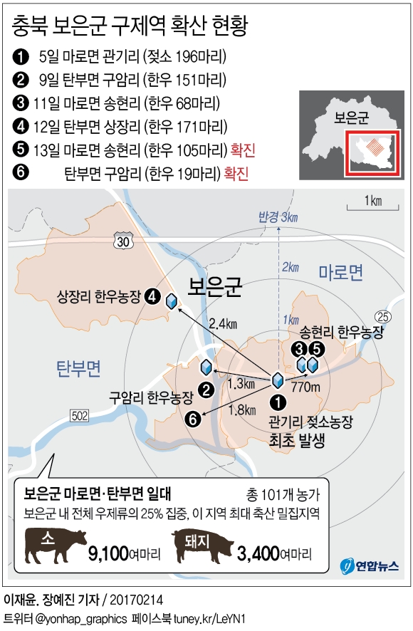 구제역 하루 새 3곳 추가 발생…충북 보은 패닉 상태(종합) - 2