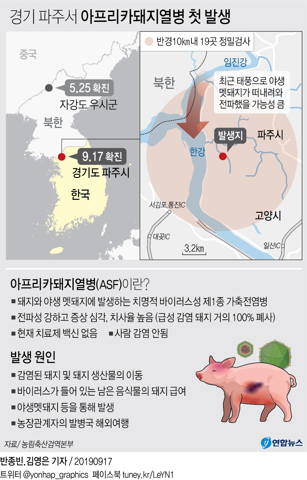 [그래픽] 경기 파주서 아프리카돼지열병 첫 발생(종합)