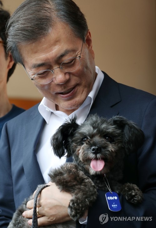This photo, provided by South Korean presidential office Cheong Wa Dae on July 26, 2017, shows President Moon Jae-in holding a former rescue dog named "Tory" after signing the adoption agreement for the black mongrel in Seoul. (Yonhap)