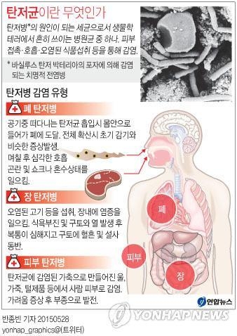 주한미군發 '공포의 백색가루' 탄저균 쇼크…위험성은(종합) - 2