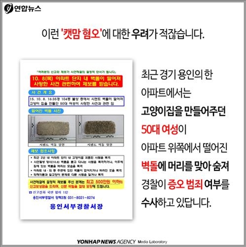 <카드뉴스> "민폐 동물에 왜 먹이 주나요"…캣맘 두고 갑론을박 - 9