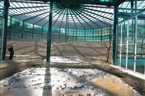 천연기념물 따오기 복원 100마리 눈앞..."훨훨 날고 싶어요" - 5