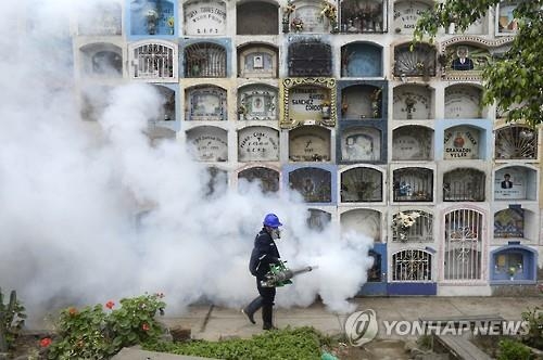 WHO "소두증 바이러스, 미주 전반 확산할 듯"…백신개발 박차(종합) - 2
