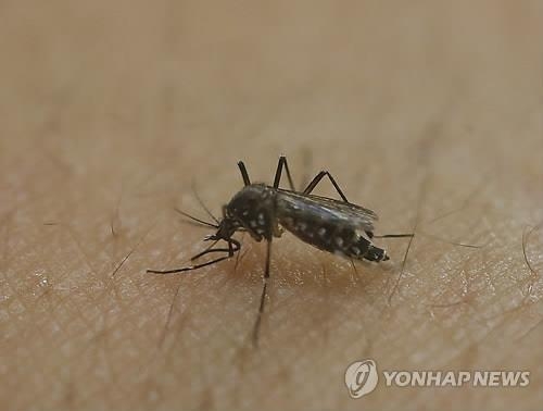 WHO, 지카 바이러스 국제 공중보건 비상사태 선포(종합) - 3