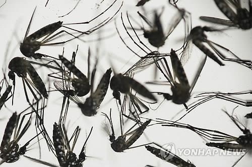 <지카 비상> 지카 바이러스 확산 일지 - 2