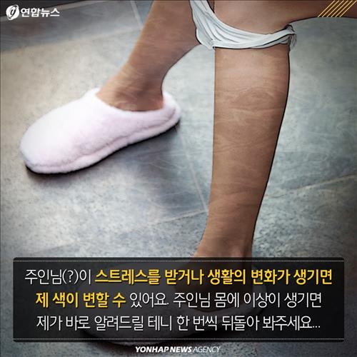 <카드뉴스> '큰일' 봤으면 확인은 필수…변 보면 건강 보인다 - 4