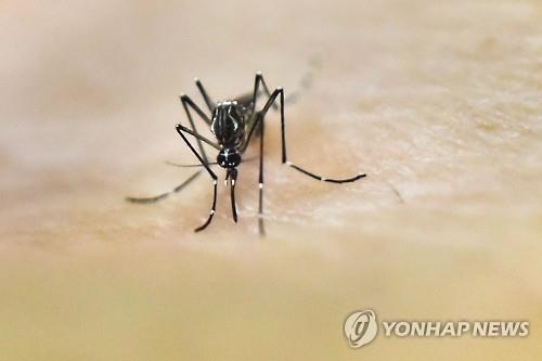 英정부, 지카바이러스 발생지 거쳐온 항공기 살충제 방역 - 3