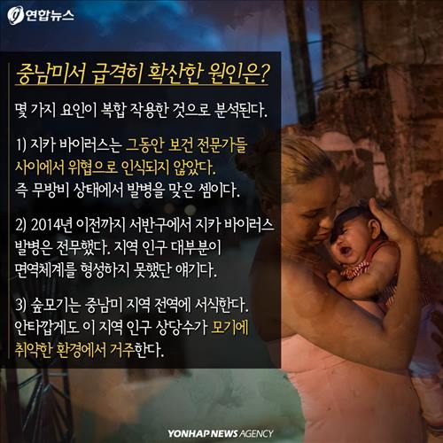 <카드뉴스> '알아야 막는다'…지카 바이러스를 둘러싼 문답 - 7