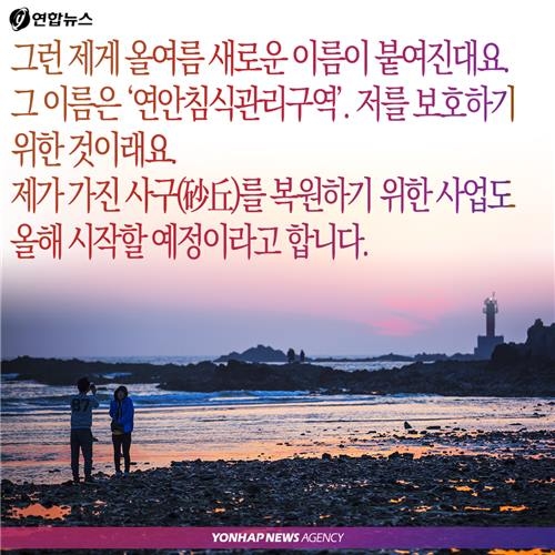 <카드뉴스> '꽃지의 경고', 그 많던 모래는 누가 가져갔을까 - 4