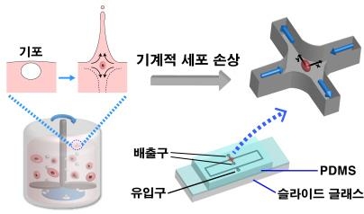 동물세포 배양기 내 세포손상 최소화 기술 개발 - 2