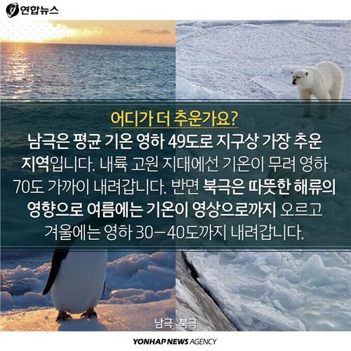 <카드뉴스> '비교체험 극과 극'…알쏭달쏭한 남극ㆍ북극의 차이 - 6