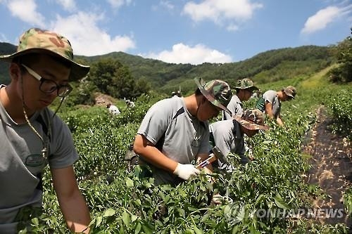 전남도 "과수 농작물재해보험 가입하세요" - 2
