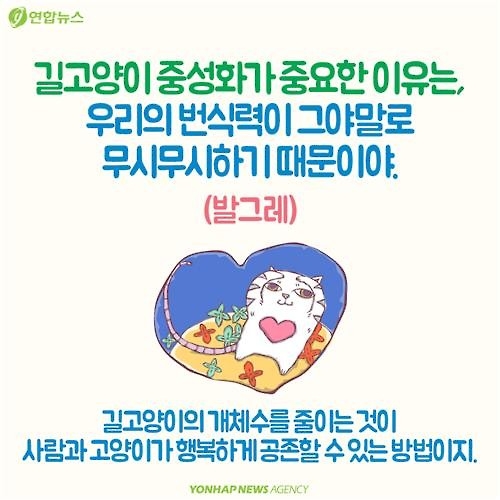 <카드뉴스> "나 수술받는다, 냥!"…길고양이의 서울살이 애환 - 9