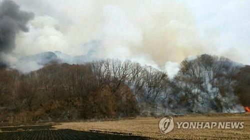 '바짝 마른 대지' 전국 곳곳 산불…청명·한식 초비상 - 3