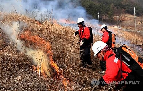 소백산 화재 원인도 밭두렁 소각…효과 없다는데 왜 태우지? - 3