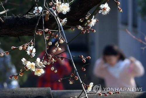 총선 전 마지막 주말 충북 맑고 포근 - 2