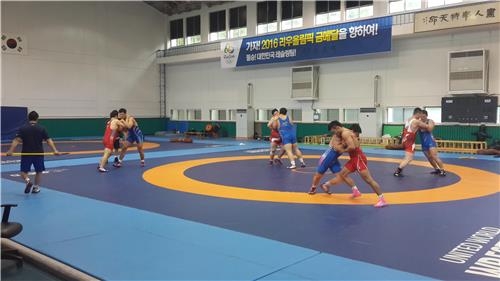 "레슬링, 24년 만에 올림픽 금 2개 이상 캔다" - 2