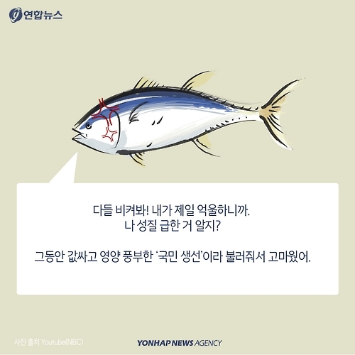 <카드뉴스> 고등어·삼겹살·소고기 "우리가 미세먼지 주범?" - 2