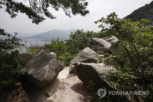 사패산 '50대 여성 살해' 피의자 검거…"돈 뺏으려 범행"(종합3보) - 4