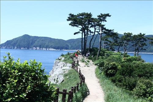 <가고 싶은 섬> 동백터널이 만드는 별천지…거제 지심도 - 3