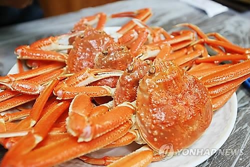 "붉은대게는 속초 특산품" 직매장 10월 준공 - 2