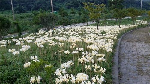 <가고 싶은 섬> 머물면, 그대로 추억이 된다…부안 위도 - 5