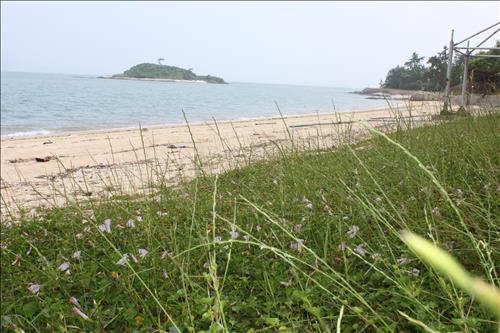 <가고 싶은 섬> '사랑의 섬·연인들의 섬' 목포 외달도 - 12