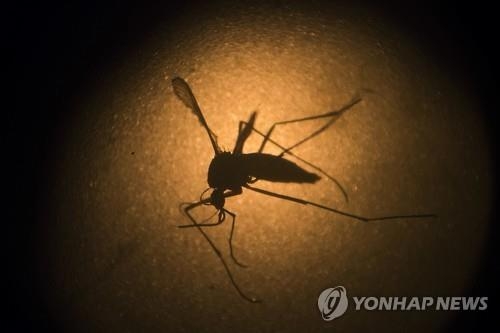 우기 접어든 태국서 지카 다시 고개…치앙마이 확진자 2명 추가 - 2