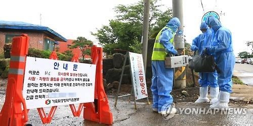 돼지전염병 청정지역 제주, 18년만에 방역망 왜 뚫렸나 - 2