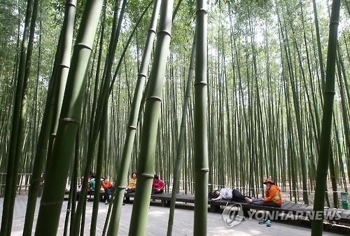 <휴가는 국내로> ⑩ '대통령 휴가지' 울산 십리대숲과 '포켓몬 성지' 간절곶 - 5