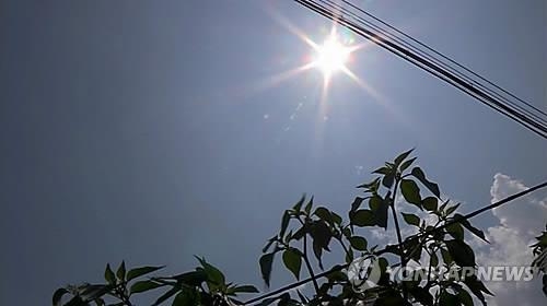'찜통더위'…인천서 풀 베던 70대 노인 열사병 사망 - 2