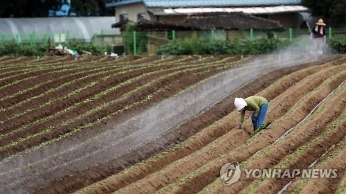 강원 산·바다에 막바지 피서 인파 몰려…영월 36.6도 - 4