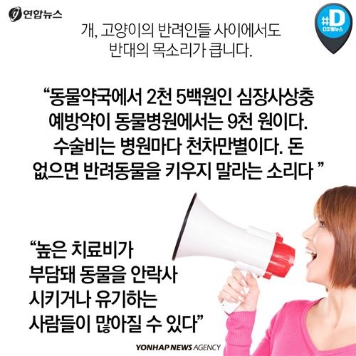 <카드뉴스> 배가 아픈데 어디로 가야하냥? 약국, 아니면 병원? - 6