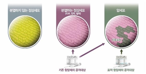 표적항암제의 원리