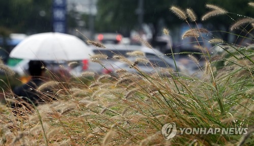 충북 낮부터 비 그쳐…청주 한낮 26도 - 1