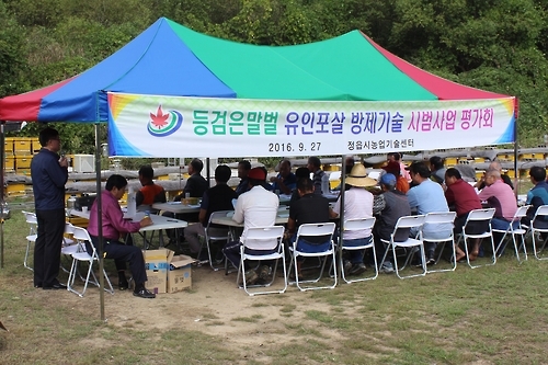 정읍에서 열린 '등검은말벌 방제 평가회'