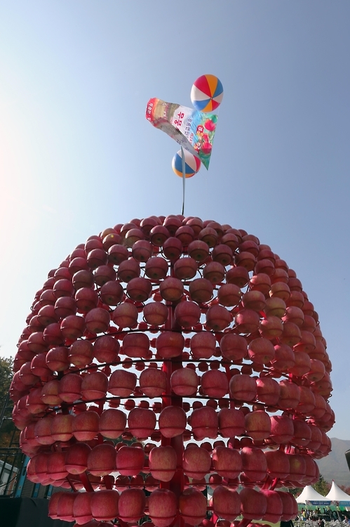 "사과 따러 오세요"…무주 '사과축제' 29일 열려 - 1