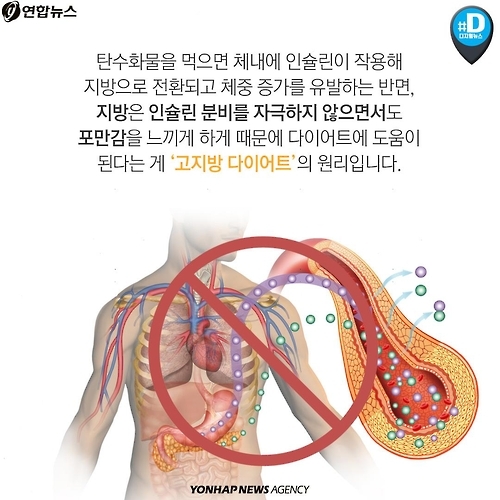 <카드뉴스> '감량'보다 중요한 '건강'…'고지방 다이어트'의 경고 - 3
