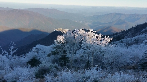 지리산에 핀 '상고대'