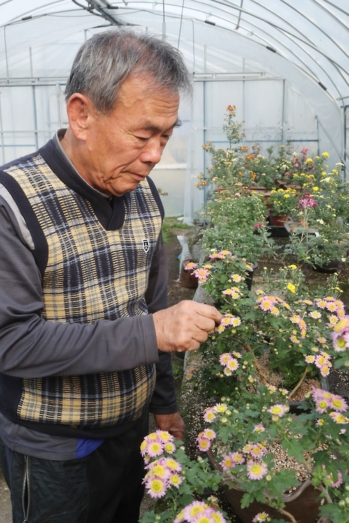 '향 그윽한 국화'로 사랑 나눔 실천하는 강시복 대표 - 2