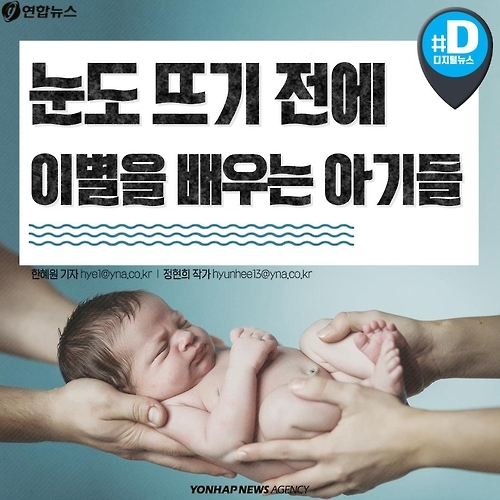 <카드뉴스> 눈도 뜨기 전에 이별을 배우는 아기들 - 1