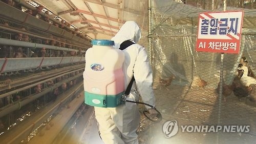 기세 안 꺾이는 AI…경기 이천 의심신고·전남 강진 철새 감염 - 3