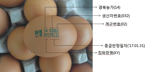 달걀에도 지역 번호가 있다…AI 청정 경북은 '14' - 1