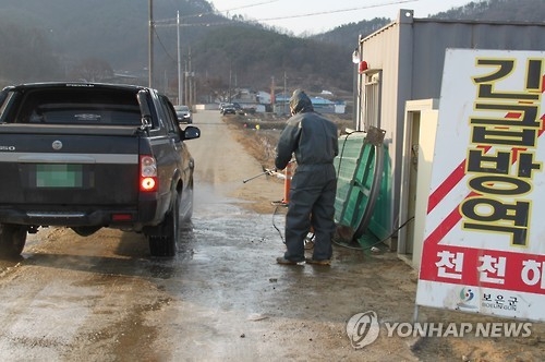 보은 구제역 발생 농장 앞 차량통제초소