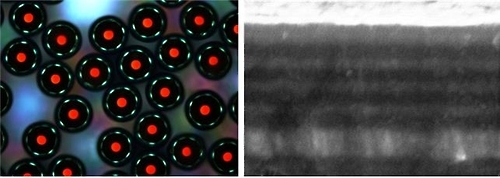 무지개 미세입자 광학현미경 사진(왼쪽)과 입자표면의 적층구조 주사전자현미경 사 