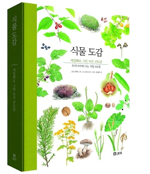 30년간 세밀화 도감의 정수…보리출판사 '식물도감' - 3