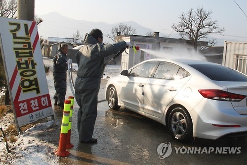 구제역 '진앙' 충북 보은 사흘째 잠잠…긴장감은 여전 - 1