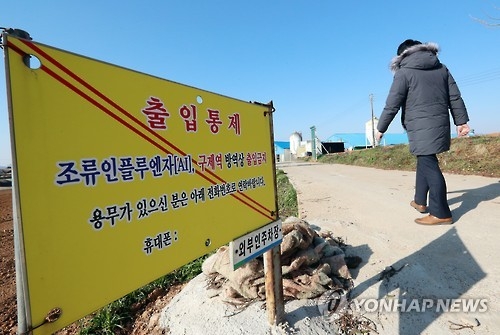 충북 58일째 AI 잠잠…청주·괴산 이동제한 해제 - 1